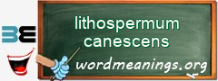 WordMeaning blackboard for lithospermum canescens